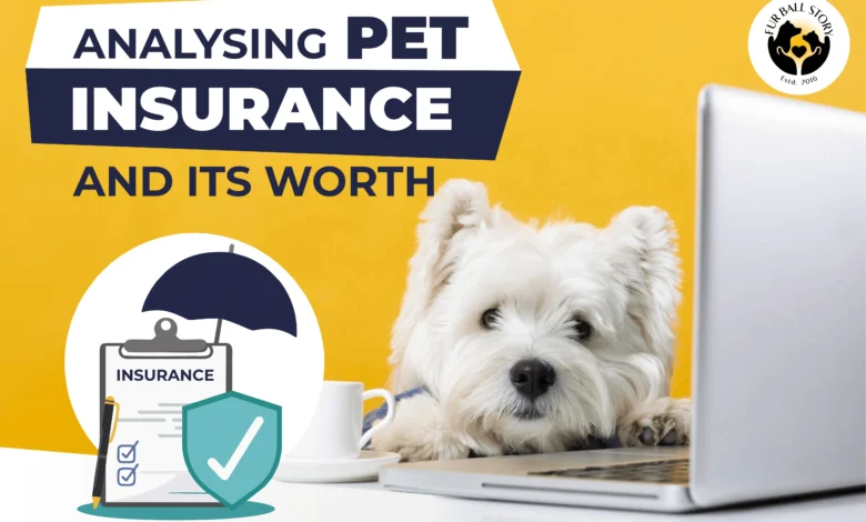Pet Insurance
